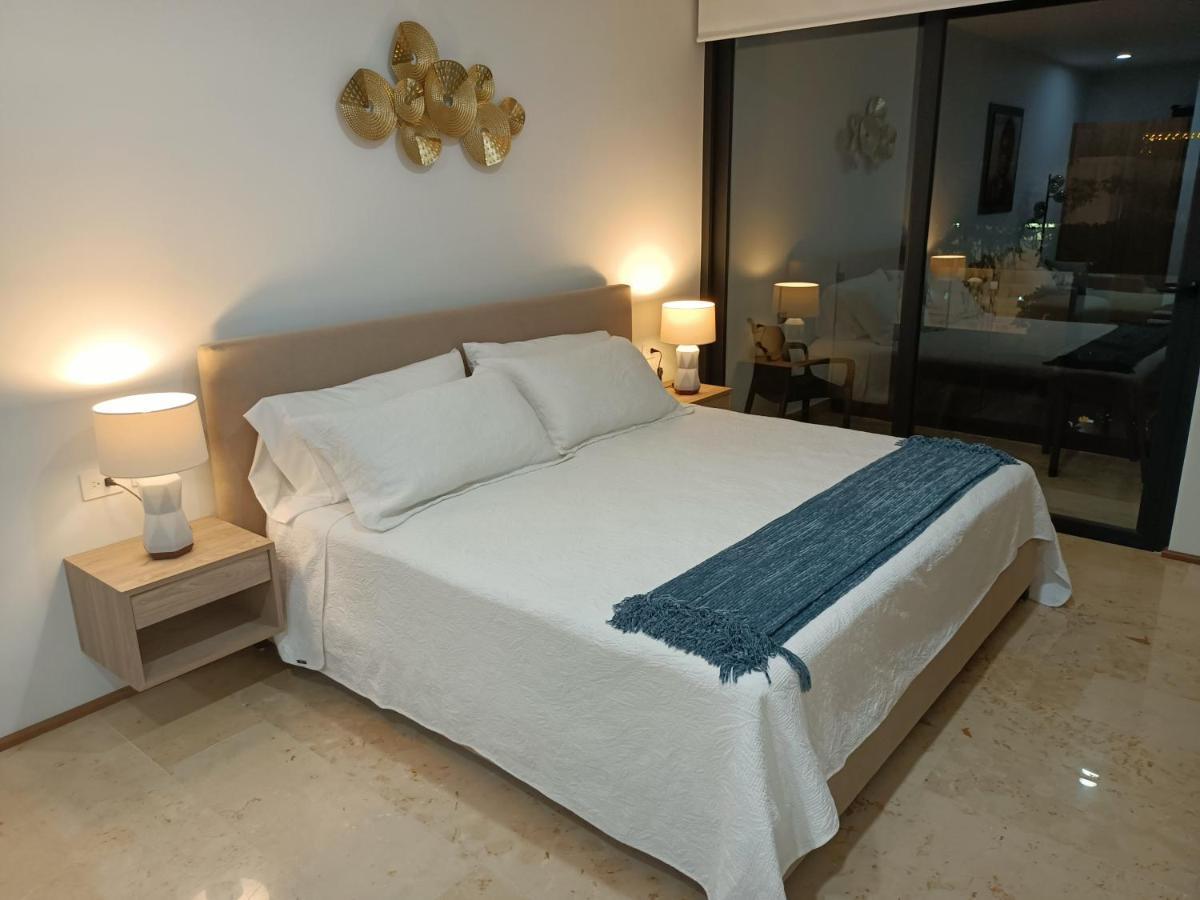 Luxury Suites , Calle 14Th プレヤデルカーメン エクステリア 写真